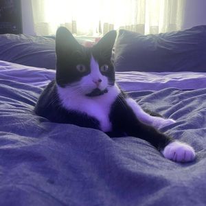 Meet your Posher, Juliette